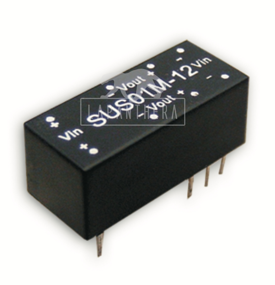 MEAN WELL SUS01L-09 ~ Input 4.5…5.5V –› Output 9VDC